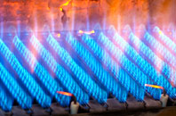 Netley Hill gas fired boilers